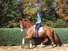 dressage horse Fairplay S (Hanoverian, 2011, from Fiorano)