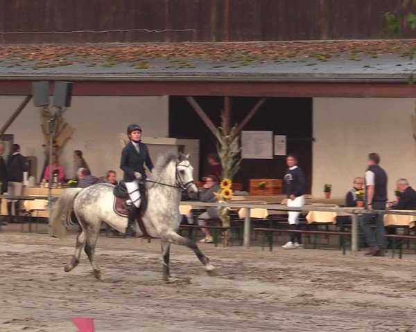Reitturnier Recklinghausen 2017