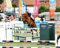 jumper Cante 2 (German Sport Horse, 2011, from Chap 47)