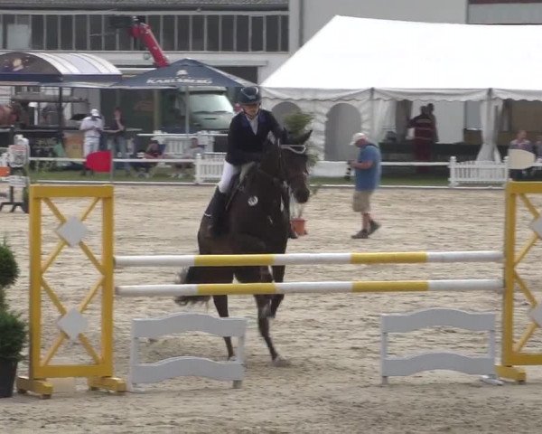 Reitturnier Zweibrücken 2017