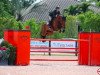 jumper Chaccolette 3 (Oldenburg show jumper, 2009, from Chacco-Blue)