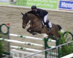 Springpferd Huub (Belgisches Warmblut, 2007, von Wandor v.d.Mispelaere)