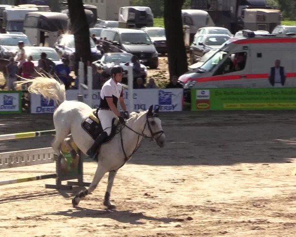Reitturnier Recklinghausen 2017