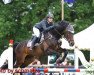 jumper Matlock 12 (German Sport Horse, 2003, from Moravia)