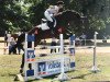 jumper Quintello 3 (Hanoverian, 2009, from Quintender 2)