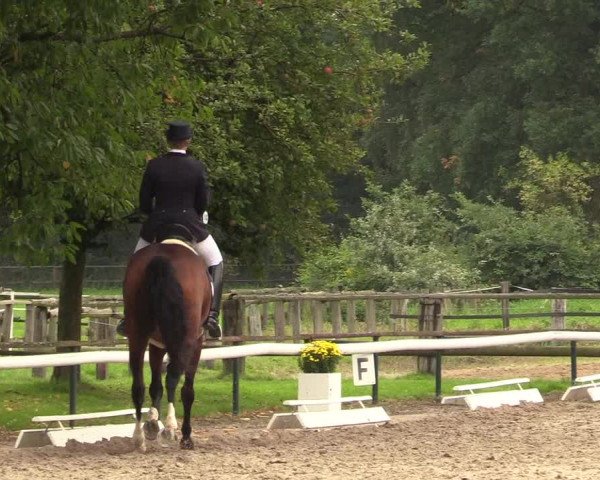 Reitturnier Recklinghausen 2017