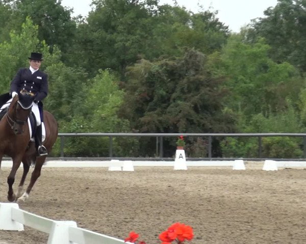 Reitturnier Düren - An der Kuhbrücke 2017