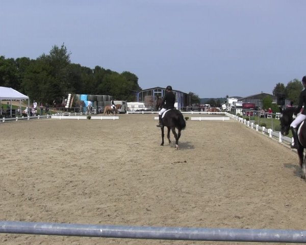 Reitturnier Bühren-Breckerfeld 2017