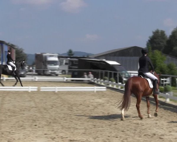 Reitturnier Bühren-Breckerfeld 2017