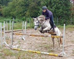 dressage horse Lilli Love (German Riding Pony, 2005, from Nightstar)