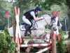 eventing horse Derrivane Finn (Connemara Pony, 2009, from Stradbally Bill)