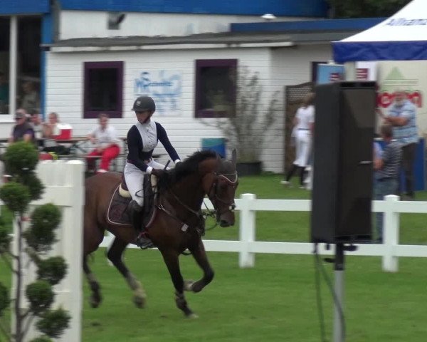 Reitturnier Düren - An der Kuhbrücke 2017