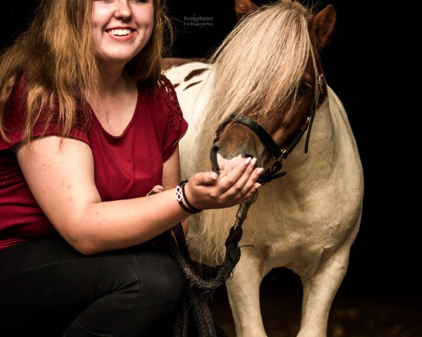 Pferd Almar v.d. zwarte Boer (Shetland Pony (unter 87 cm), 2007)