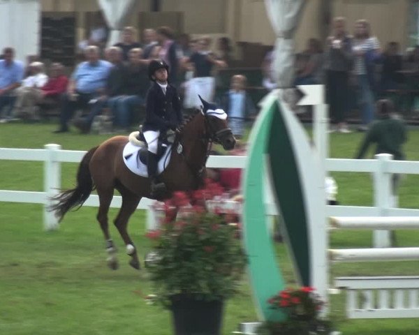 Reitturnier Düren - An der Kuhbrücke 2017