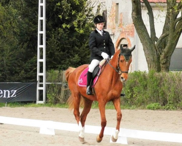 dressage horse Gunatora (Sachse, 2000, from Liberator 2574)