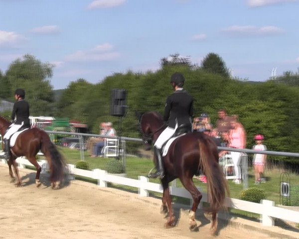 Reitturnier Bühren-Breckerfeld 2017