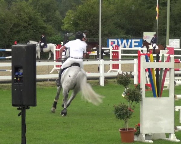 Reitturnier Düren - An der Kuhbrücke 2017