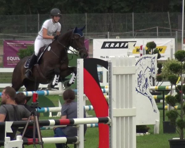 Reitturnier Düren - An der Kuhbrücke 2017