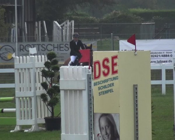 Reitturnier Düren - An der Kuhbrücke 2017