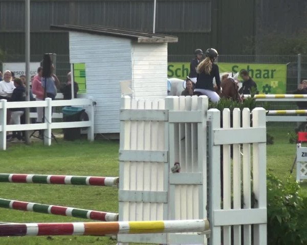 Reitturnier Düren - An der Kuhbrücke 2017