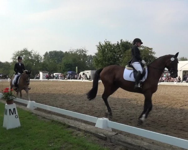 Reitturnier Düren - An der Kuhbrücke 2017