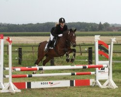 jumper Cheyenne 178 (German Riding Pony, 1994, from Nibelungenheld)