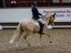 dressage horse Wilky May (German Riding Pony, 2008, from White Gold B)