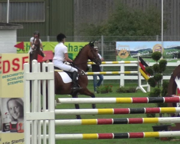 Reitturnier Düren - An der Kuhbrücke 2017