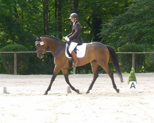 broodmare Tharau 10 (Trakehner, 2013, from Private Passion)