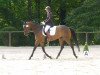 broodmare Tharau 10 (Trakehner, 2013, from Private Passion)