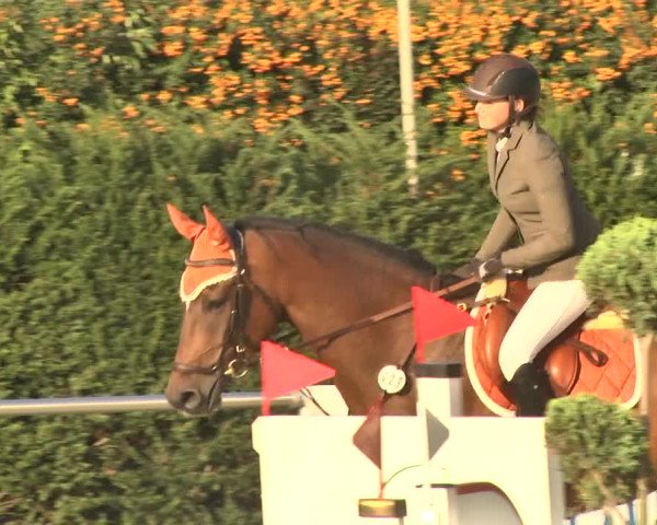 Reitturnier Durmersheim-Hardt 2017