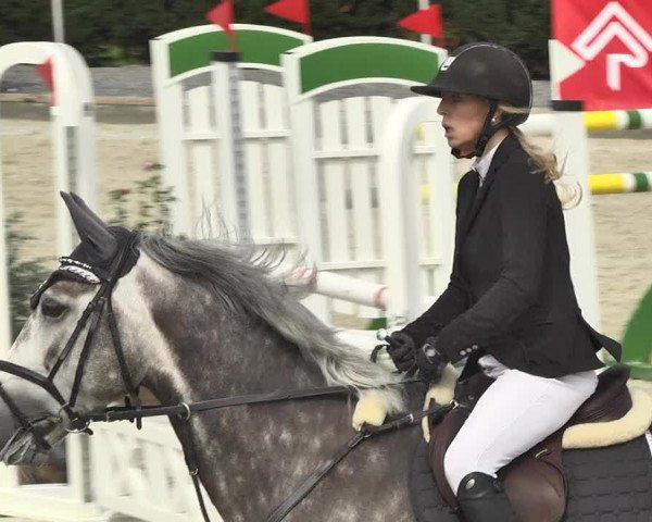 Reitturnier Durmersheim-Hardt 2017