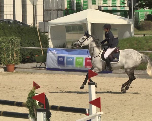 Reitturnier Durmersheim-Hardt 2017