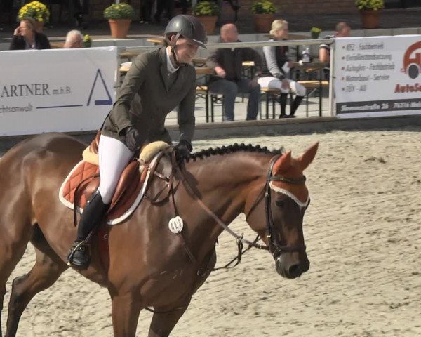 Reitturnier Durmersheim-Hardt 2017