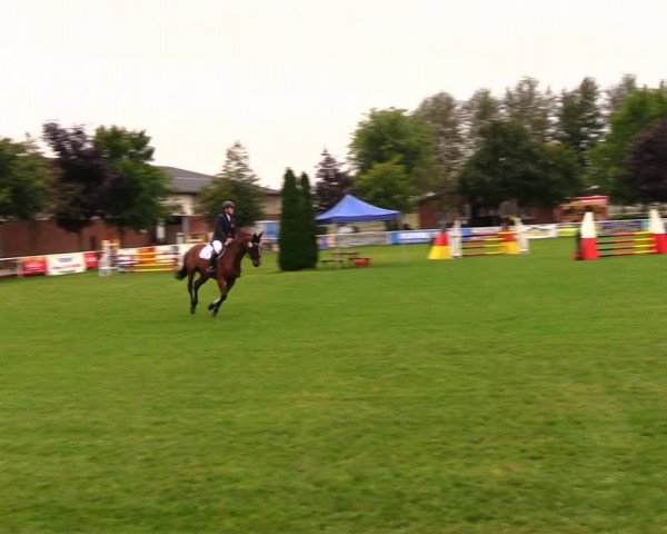 Reitturnier Münchehofe 2017