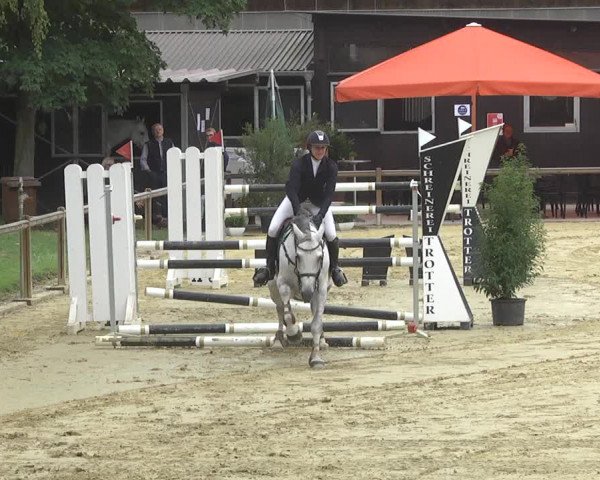 Reitturnier Walldorf/Winterheck 2017