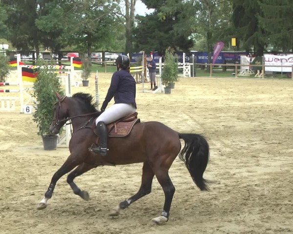 Reitturnier Walldorf/Winterheck 2017