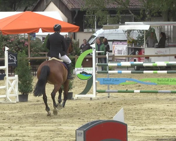 Reitturnier Walldorf/Winterheck 2017