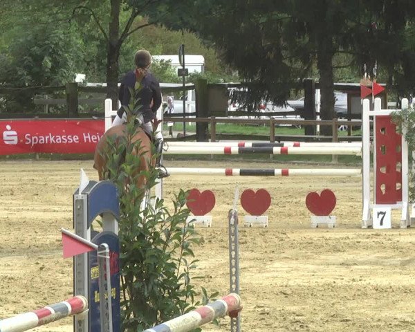Reitturnier Walldorf/Winterheck 2017