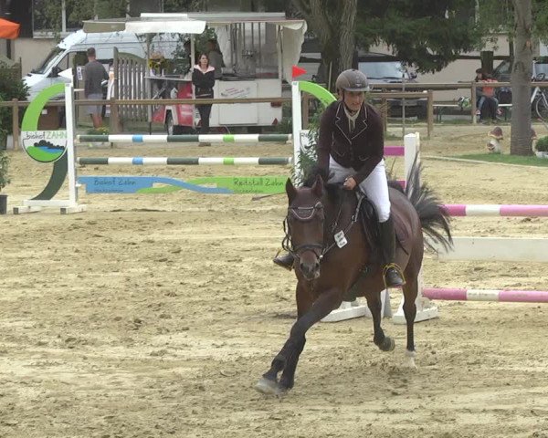 Reitturnier Walldorf/Winterheck 2017