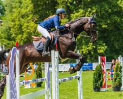 jumper Lileon (Luxembourg horse, 2012)