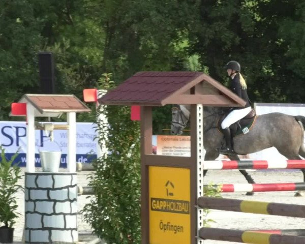 Reitturnier Öpfingen 2017