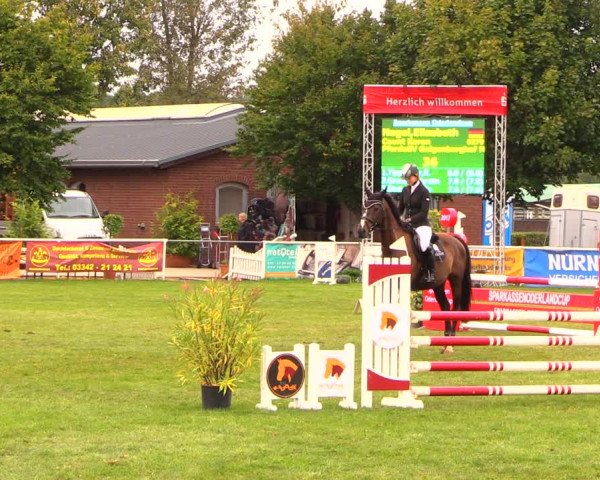 Reitturnier Münchehofe 2017