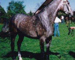 broodmare Wendy (Hanoverian, 1987, from Wendekreis)