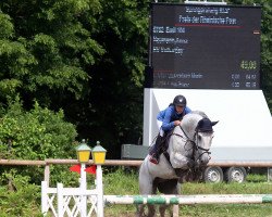 jumper Emil (Oldenburg, 2007, from Epsom Gesmeray)