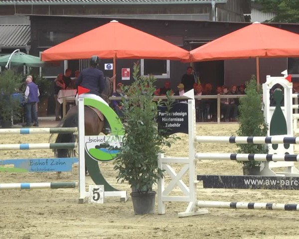 Reitturnier Walldorf/Winterheck 2017