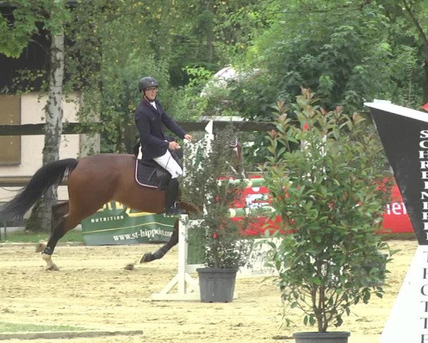 Reitturnier Walldorf/Winterheck 2017