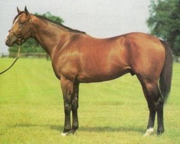 stallion Honor Grades xx (Thoroughbred, 1988, from Danzig xx)