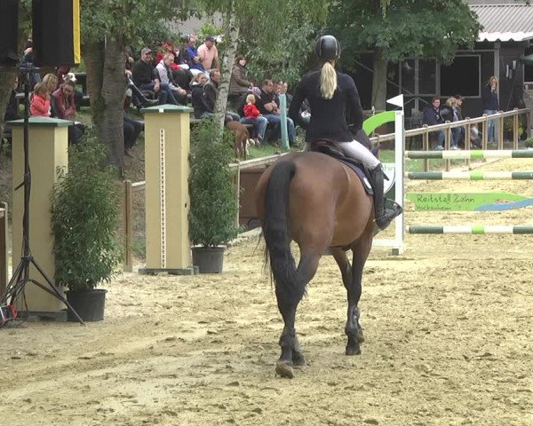Reitturnier Walldorf/Winterheck 2017