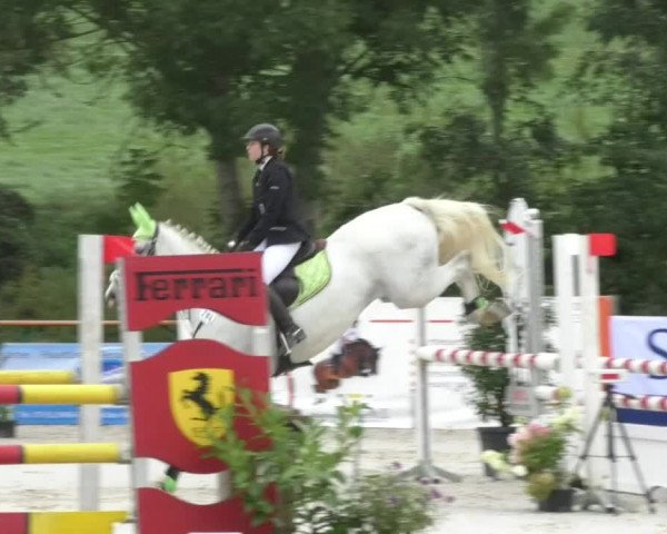Reitturnier Öpfingen 2017